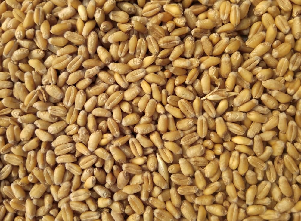 Flocons d'avoine instantanés (500g)
